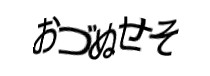 Authentication image